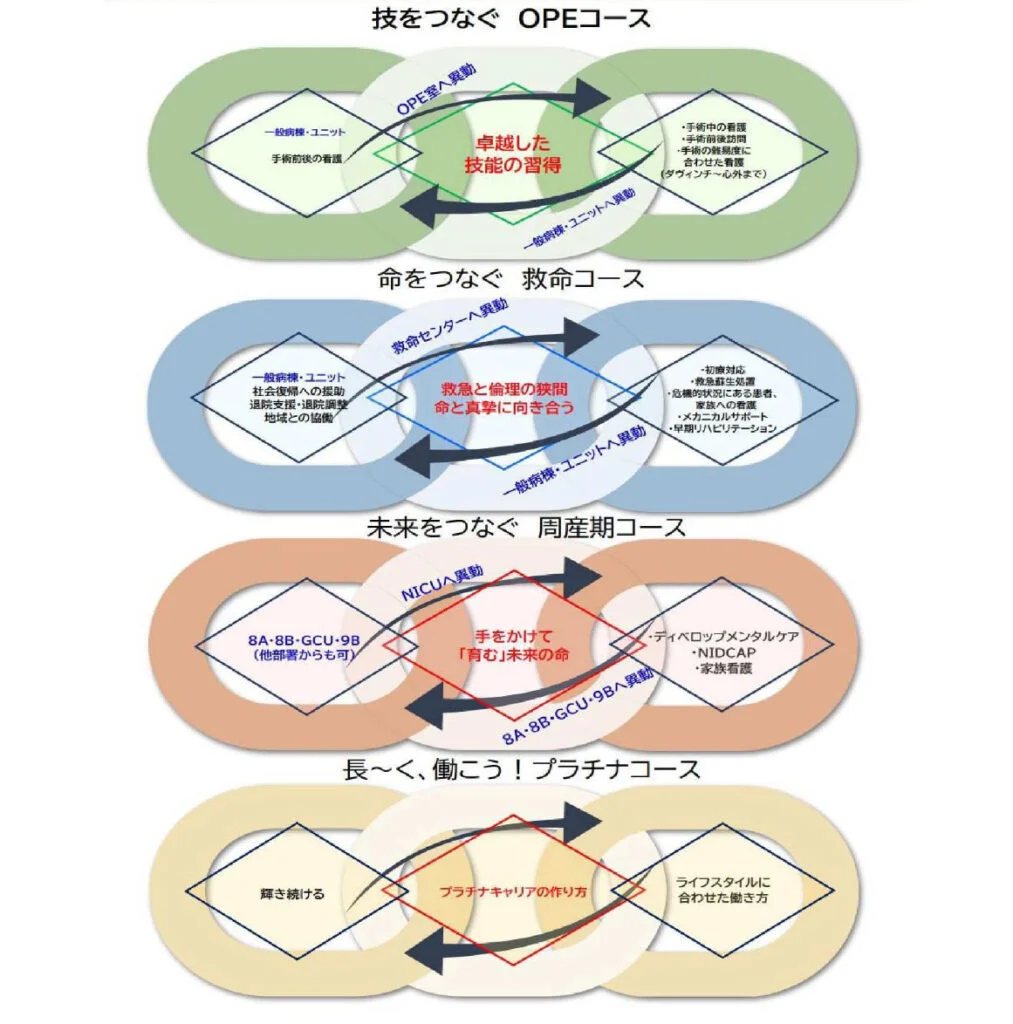 キャリアパスの図